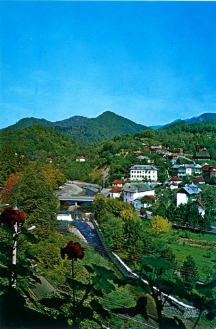 1274 - Olanesti